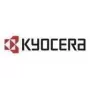 Kyocera IB-38 - Druckserver - USB - für TASKalfa 2554Ci