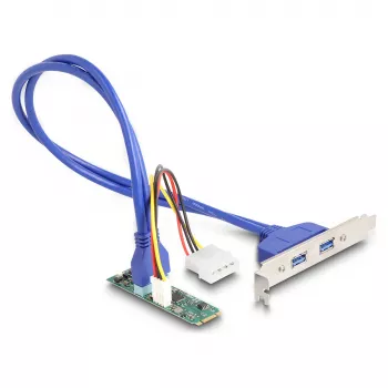 DeLOCK Schnittstellenkarten/-adapter 61065 Intern USB 3.2 Gen 1 M.2 Stecker