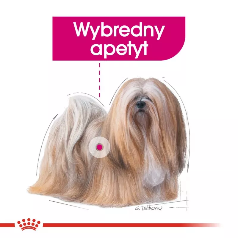 Trockenfutter für Hunde Royal Canin Mini Exigent 1 kg — kleine Rasse Senior, 30 % Protein, 22 % Fett