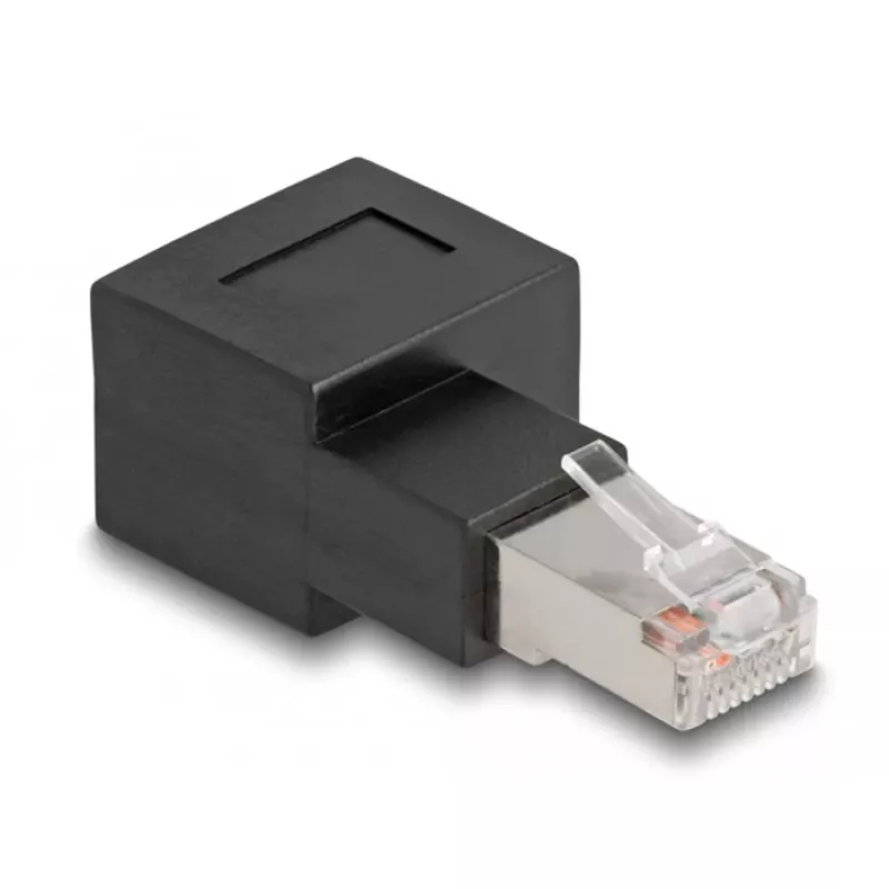 Delock - Netzwerkadapter - RJ-45 (M) nach rechts abgewinkelt zu RJ-45 (W) - CAT 6a