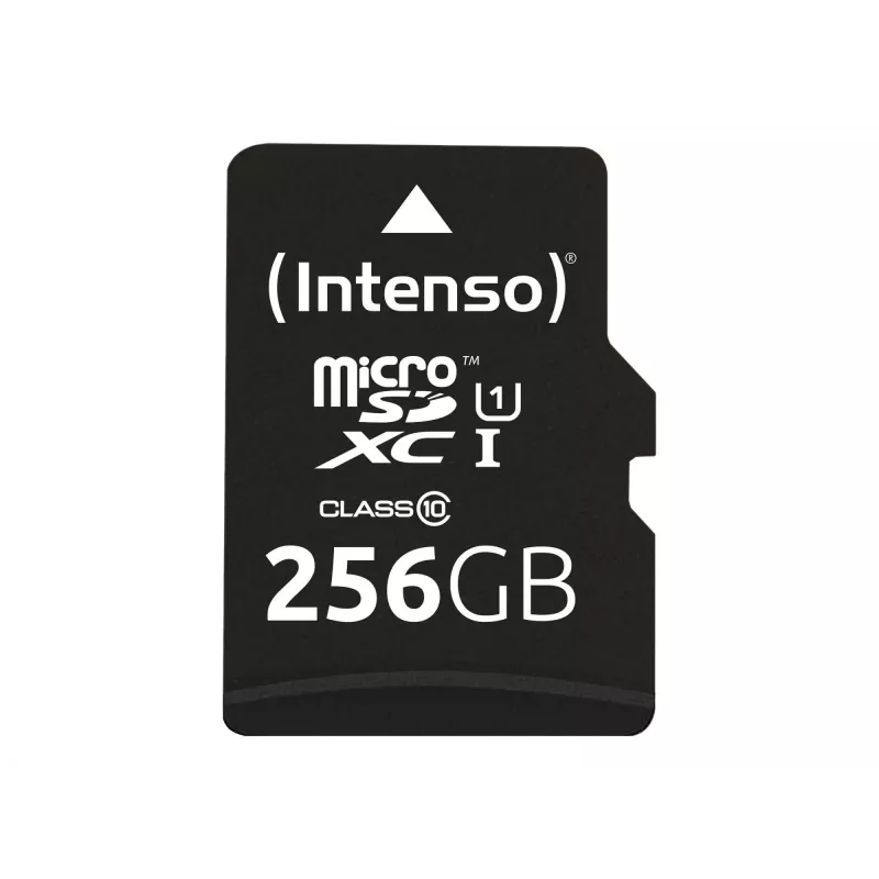 Flash Memory Intenso 256GB UHS-I MicroSD Karte
