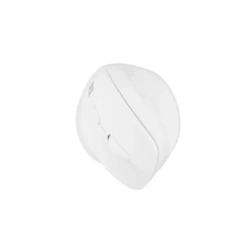 NATEC Crake 2 Maus, universell, für Rechtshänder, RF Wireless + Bluetooth, optisch, 2400 DPI