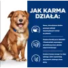HILL'S Prescription Diet Derm Complete - Trockenfutter für Hunde - 1,5kg