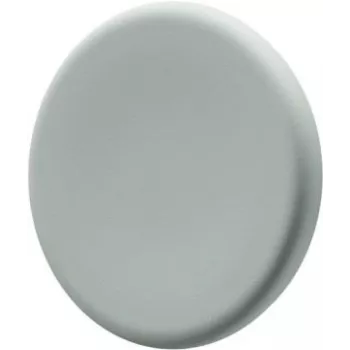 Glastafelmagnete Legamaster salbeigrün, 5er-Set – Metall, 30 × 7 mm