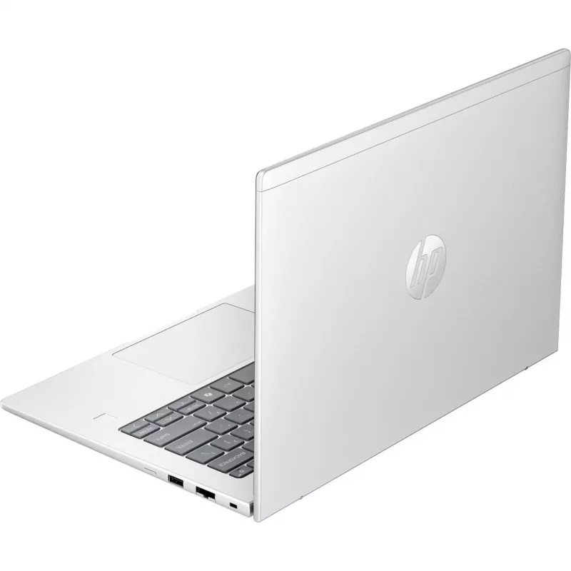 Probook 4 G1a (C07P4ES), Notebook Silber, AMD Ryzen 5 230, AMD Radeon 760M, 16 GB DDR5, 512 GB (512 GB SSD), Windows 11 Pro