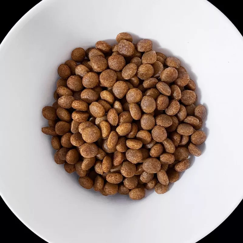 VET RESPONSE Hypoallergenic - Trockenfutter für Hunde - 1,6kg