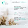 Beruhigungsergänzungsmittel VETEXPERT Calm&Relax 30 Kapseln für Hunde und Katzen, glutenfrei, konservierungsstofffrei, Kapselform