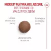 ROYAL CANIN Ageing 15+ Trockenfutter für Katzen – 4 kg