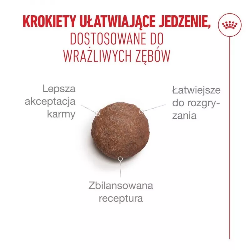 ROYAL CANIN Ageing 15+ Trockenfutter für Katzen – 4 kg