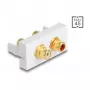 DeLOCK Easy 45 Steckdose 2 x RCA Weiß ABS
