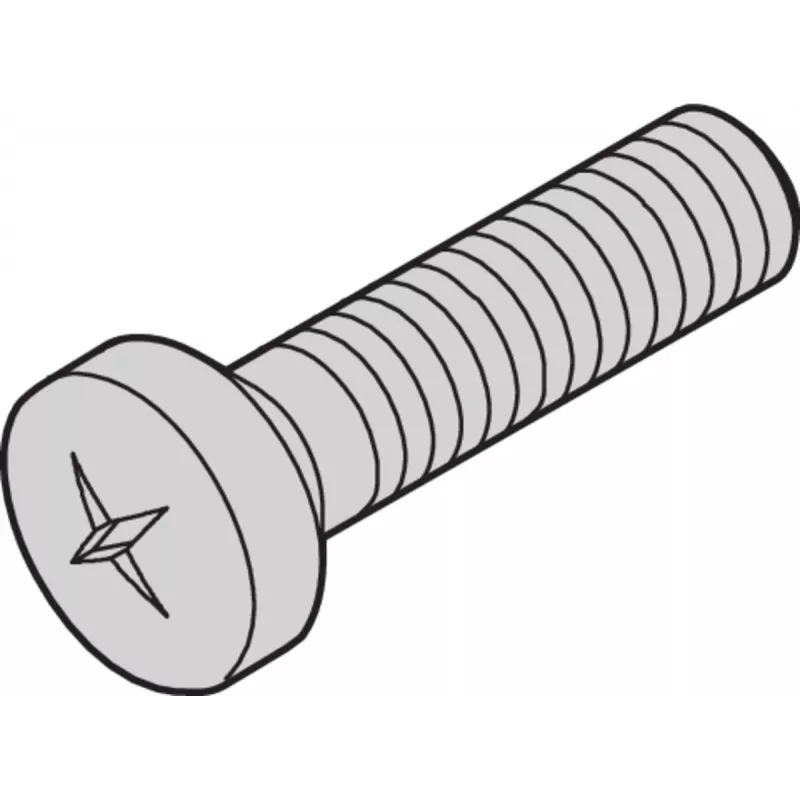 SCHROFF NTS FLKOSCHR.M3X6 SN11 100 Stück (21102024)