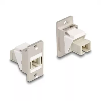 DeLOCK Panel-Mount-Keystone-Modul Glasfaser SC Simplex Buchse-Buchse konisch Beige