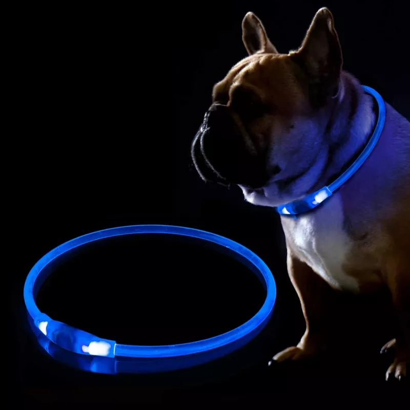 LED-Halsband KABB Blau für Hunde und Katzen – wiederaufladbar, verstellbares Sicherheitshalsband mit Beleuchtung