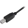 USB 2.0 Kabel, USB-A Stecker > USB-B Stecker (schwarz, 3,0 Meter)