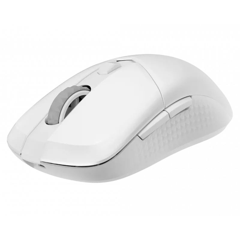 MSI Versa 300 Wireless Maus Gaming Rechtshänder RF Wireless + Bluetooth + USB Typ-C Optisch 8000 DPI