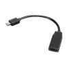Lenovo 0B47089 Videokabel-Adapter 0,2 m Mini DisplayPort HDMI Schwarz