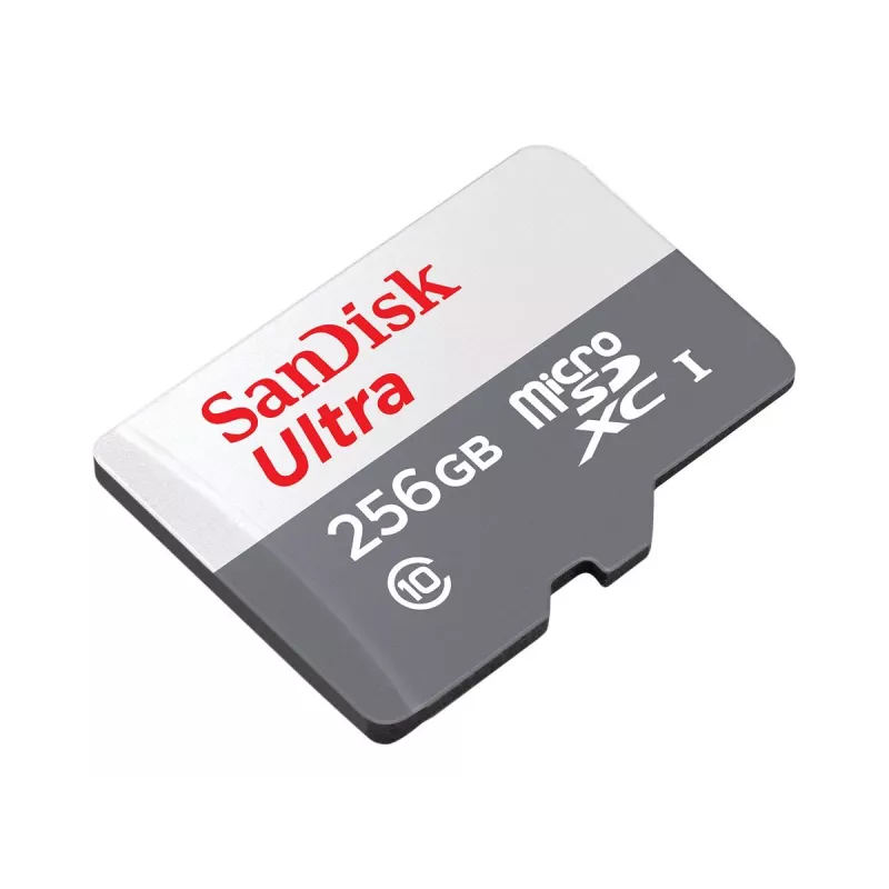 Flash-Speicher SanDisk 256 GB MicroSDXC UHS-I SDSQUNR-256G-GN6TA