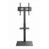 Boden-TV-Ständer GEMBIRD TVS-55T-02 für 32–55 Zoll Fernseher, Stahl, Höhe 600 mm, VESA 100x100–400x400, maximale Belastung 35 kg