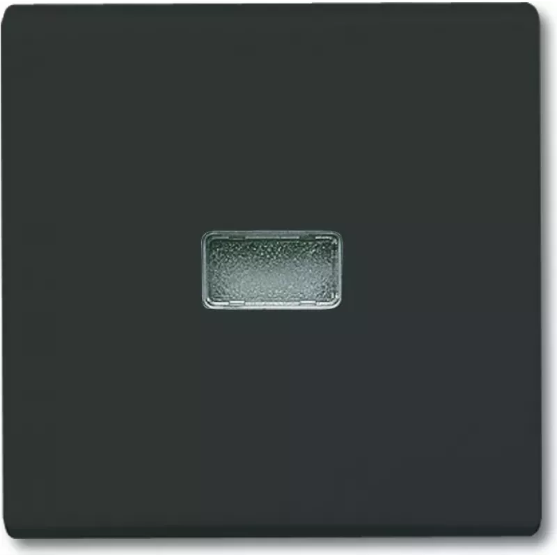 BUSCH JAEGER 2107-35 - Schwarz - Busch-Jaeger - 70 mm - 70 mm - 1,3 cm - 1 Stück(e)