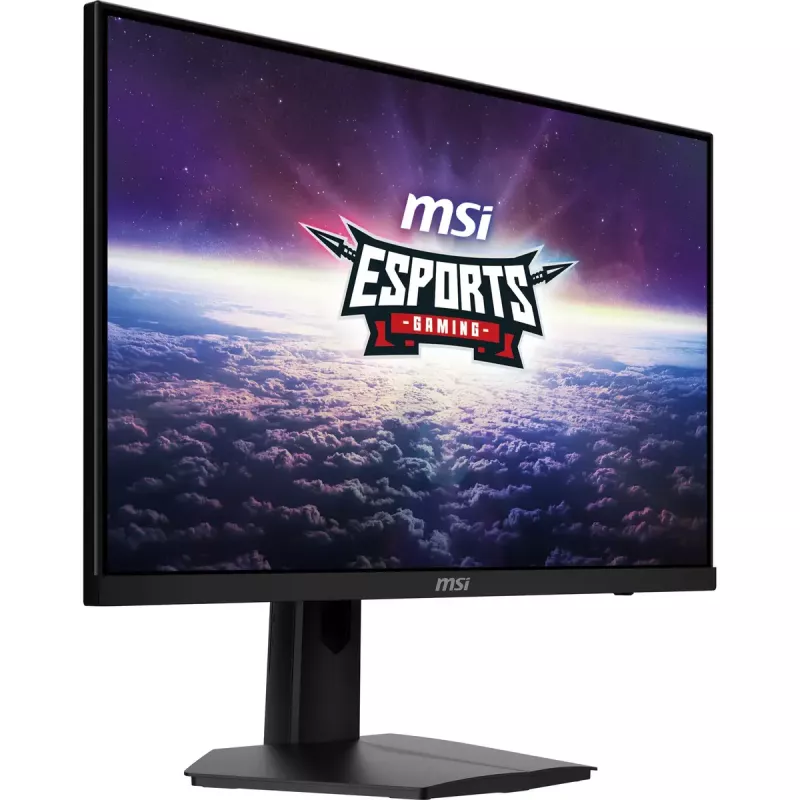 MSI G244F E2 Computer Monitor 60,5 cm (23,8 Zoll) 1920 x 1080 Full HD Schwarz
