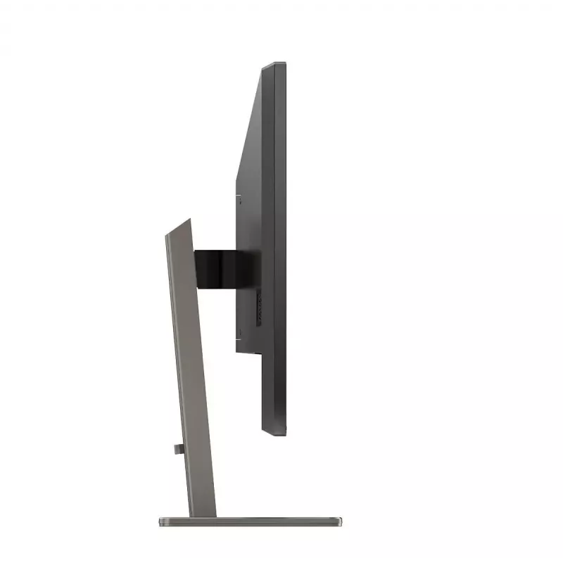 Philips P Line 439P1/00 Computer Monitor 108 cm (42,5 Zoll) 3840 x 2160 Pixel 4K Ultra HD LCD Schwarz