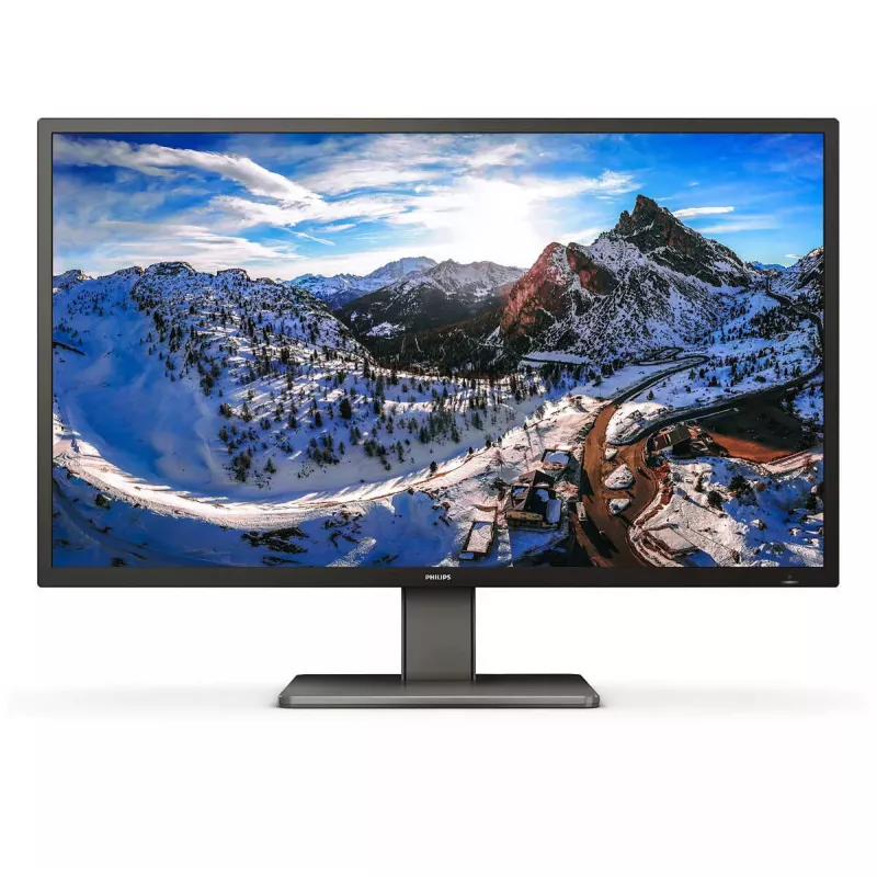 Philips P Line 439P1/00 Computer Monitor 108 cm (42,5 Zoll) 3840 x 2160 Pixel 4K Ultra HD LCD Schwarz