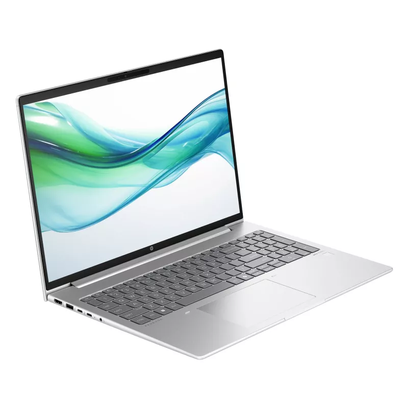 HP ProBook 460 G11 Intel Core Ultra 5 125U Laptop 40,6 cm (16 Zoll) WUXGA 8 GB DDR5-SDRAM 256 GB SSD Wi-Fi 6E (802.11ax) Windows 11 Pro KI-PC Silber
