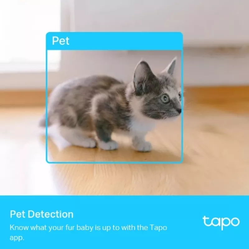 IP-Überwachungskamera TP-Link Tapo C225 Standard