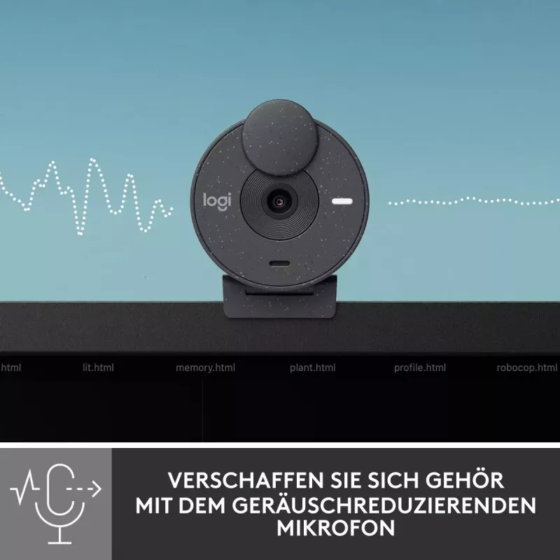 LOGITECH Brio 300 Full HD Webcam - Graphite