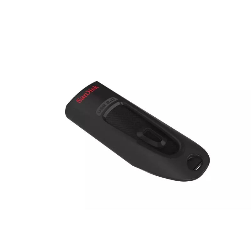 USB-Stick SanDisk 256 GB USB Type-A 3.2 Gen 1 SDCZ48-256G-U46