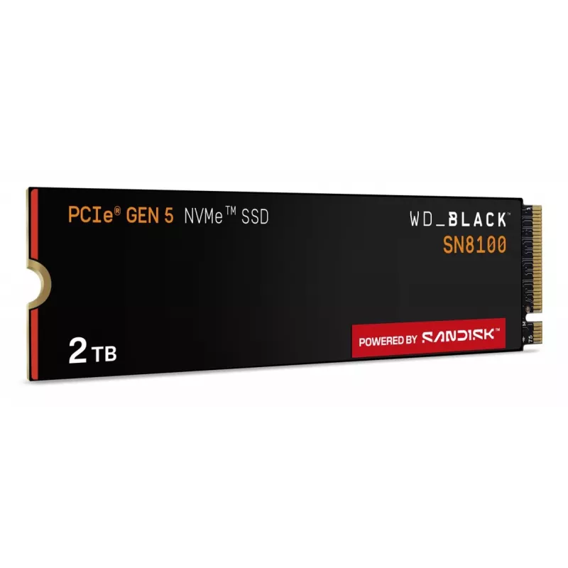 WESTERN DIGITAL SSD - WD_Schwarz SN8100 - 2TB - M.2 2280