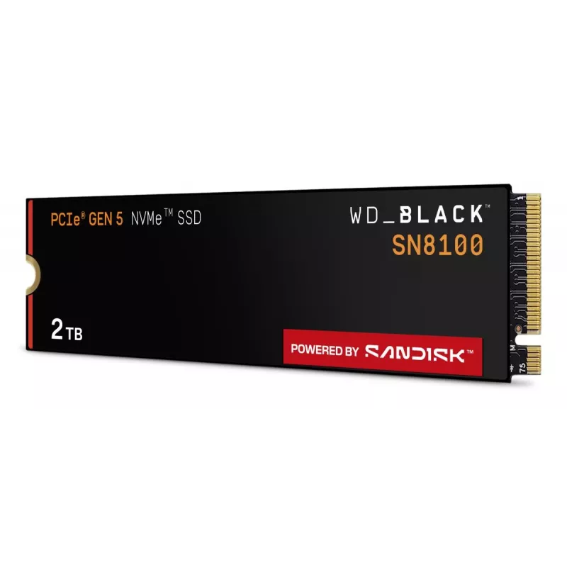 WESTERN DIGITAL SSD - WD_Schwarz SN8100 - 2TB - M.2 2280