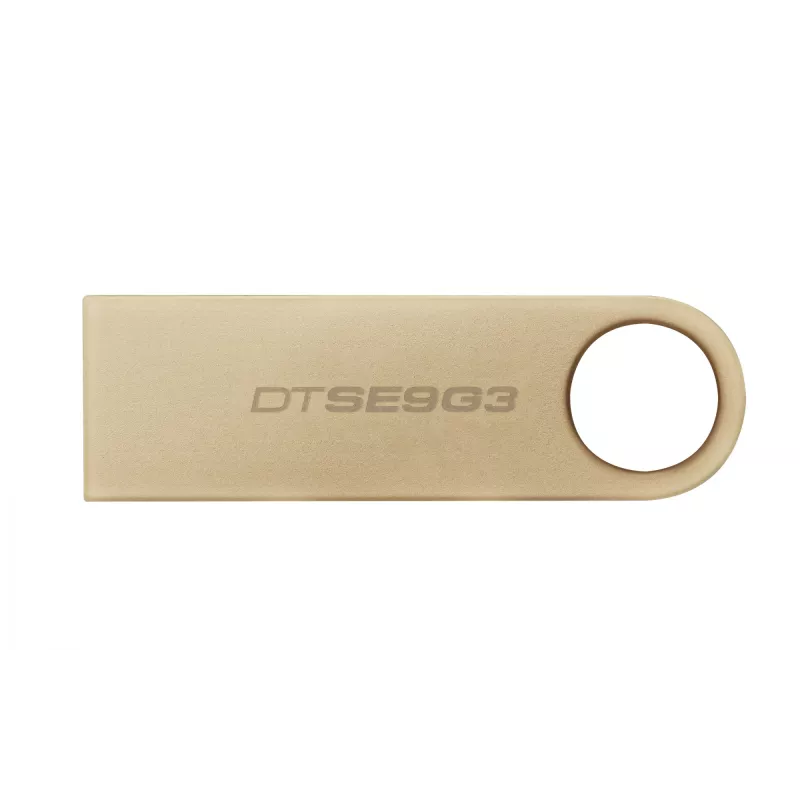 Kingston Technology DataTraveler 256 GB 220 MB/s Metall-USB 3.2 Gen 1 SE9 G3