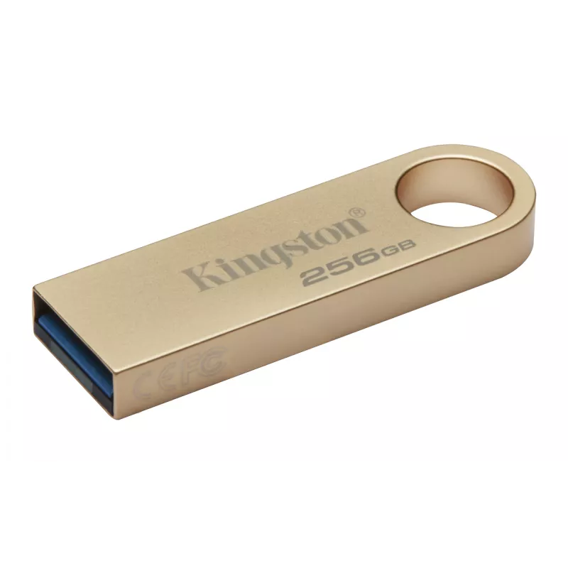 Kingston Technology DataTraveler 256 GB 220 MB/s Metall-USB 3.2 Gen 1 SE9 G3