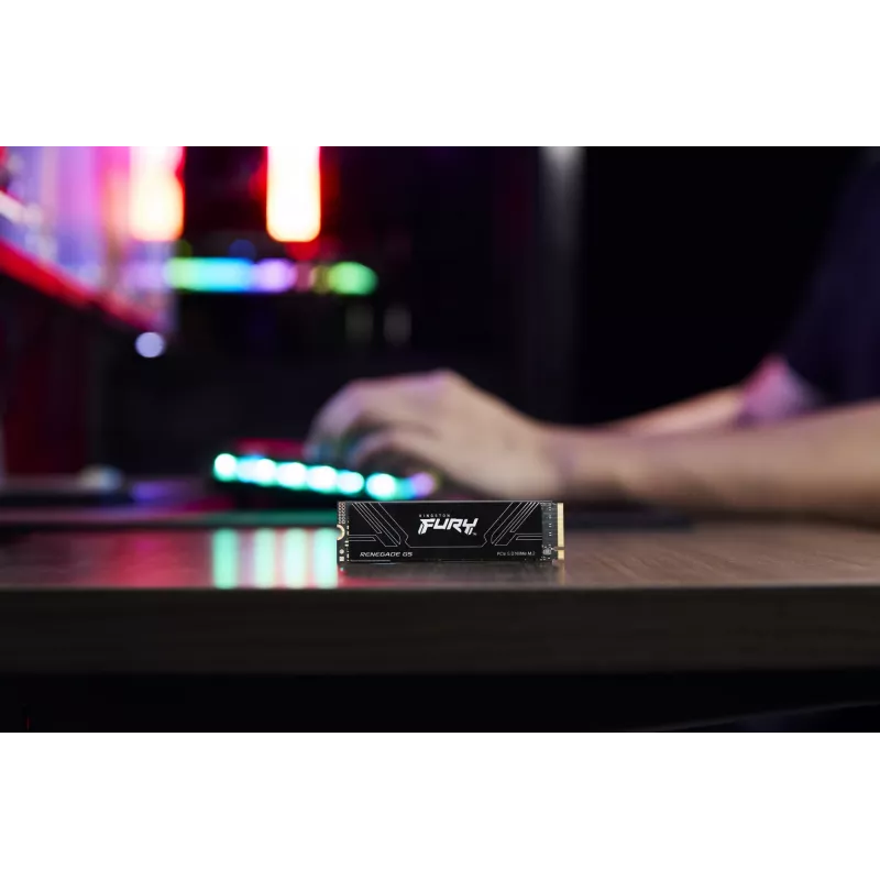 SSD-Festplatte Kingston Technology 1 TB M.2 NVMe FURY RENEGADE G5