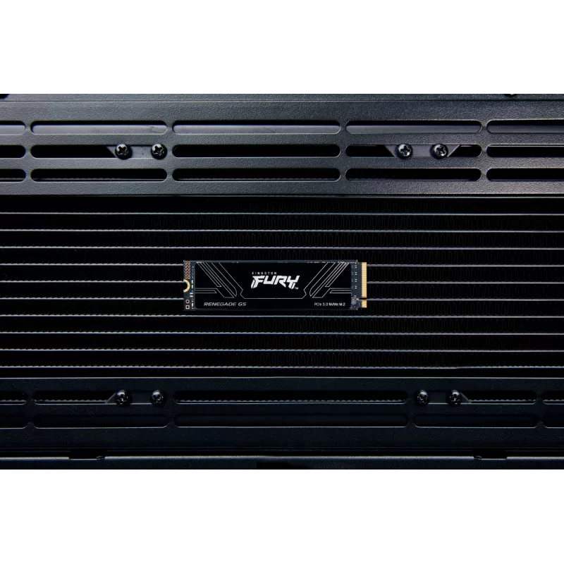 SSD Kingston Technology 2T M.2 NVMe 2280 FURY RENEGADE G5