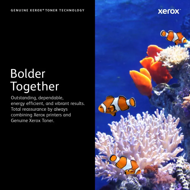 XEROX Tonerkartusche - Hohe Kapazität - 24000 Seiten - Schwarz (106R01569)