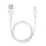 APPLE Lightning-auf-USB-Kabel (0.5 M)