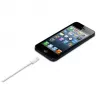 APPLE Lightning-auf-USB-Kabel (0.5 M)