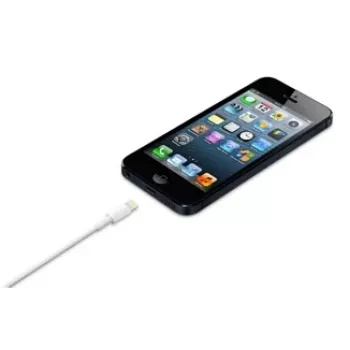 APPLE Lightning-auf-USB-Kabel (0.5 M)