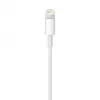 APPLE Lightning-auf-USB-Kabel (0.5 M)