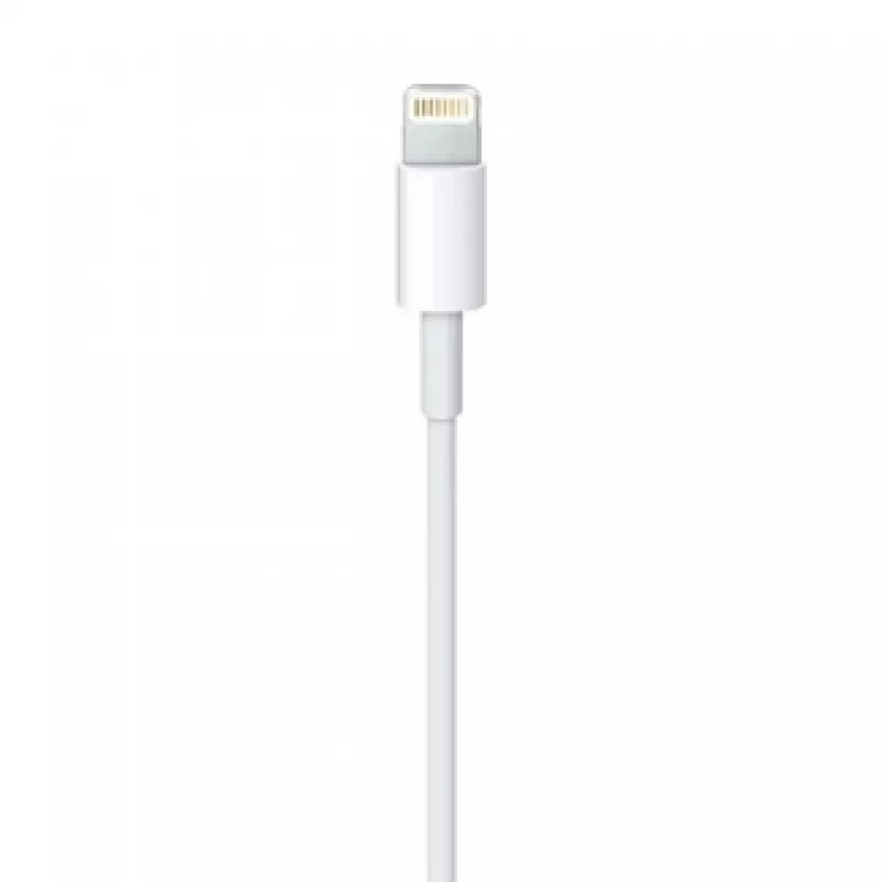 APPLE Lightning-auf-USB-Kabel (0.5 M)