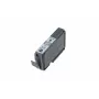 Canon PGI-9GY Grau Tintenpatrone, Grau, Pigmenttinte, 1 Stk., 145 Seiten