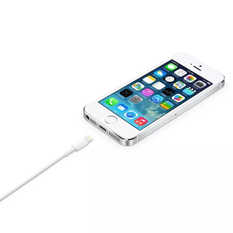 Apple Lightning auf USB-Kabel 2 m MD819ZM/A