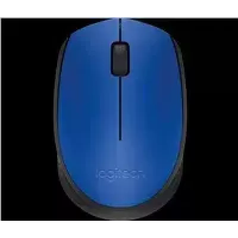 Logitech M171 Maus RF Kabellos Optisch 1000 DPI, Blau