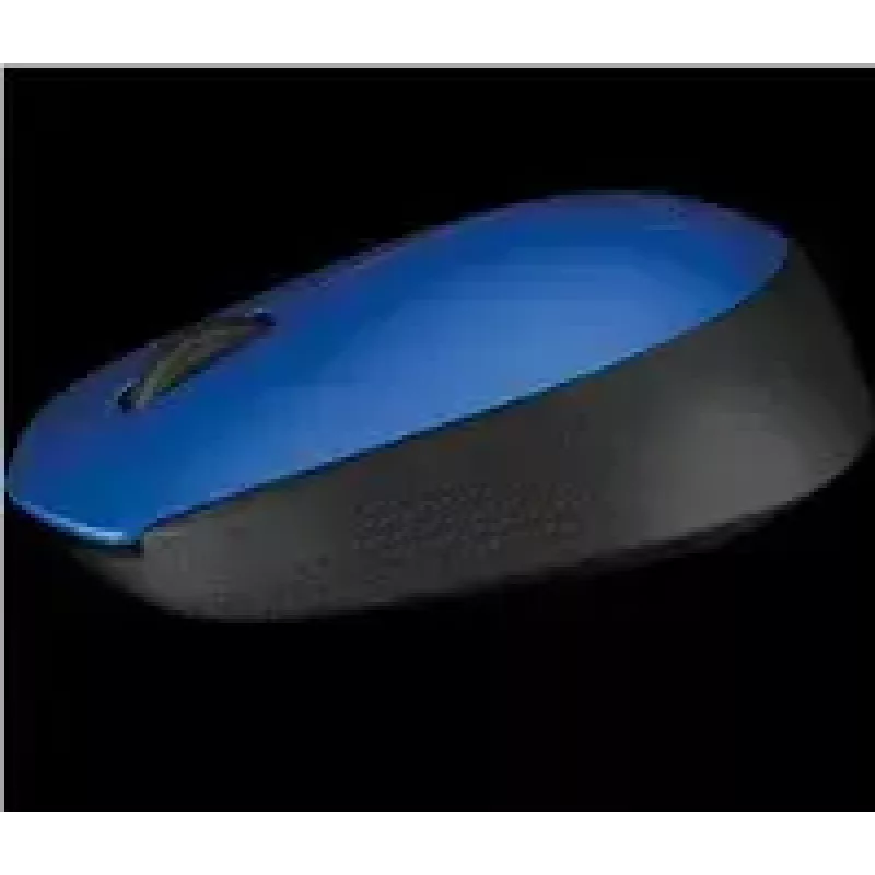 Logitech M171 Maus RF Kabellos Optisch 1000 DPI, Blau