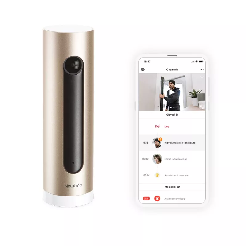 Netatmo Welcome IP-Sicherheitskamera Innen 1920 x 1080 Pixel Tisch