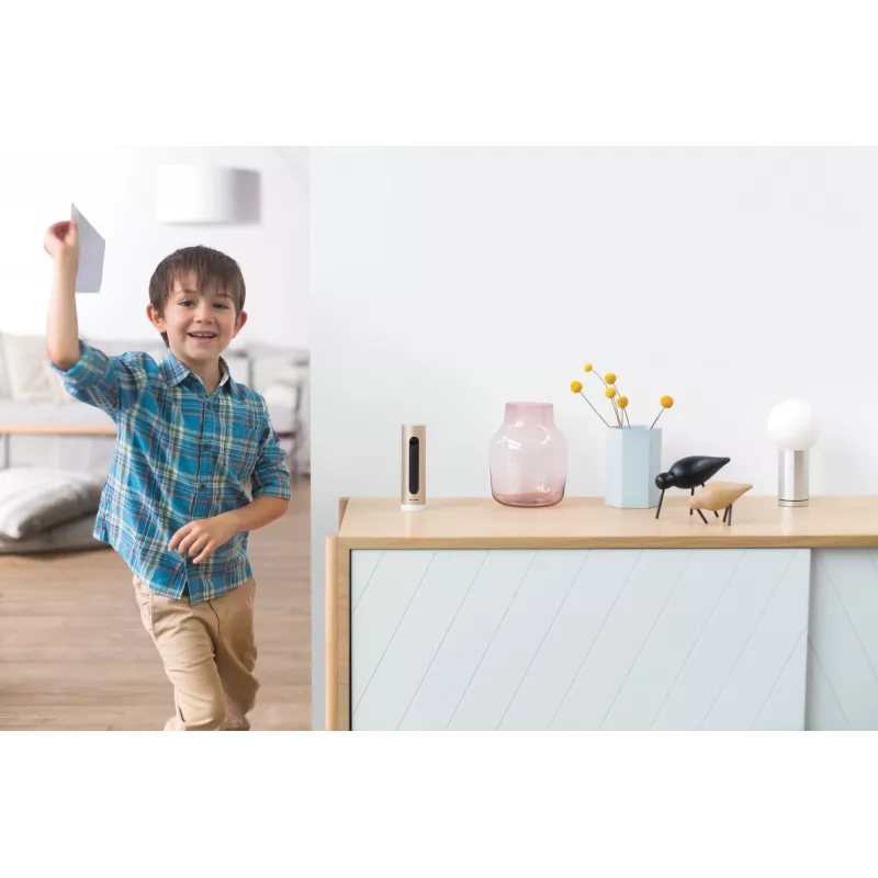 Netatmo Welcome IP-Sicherheitskamera Innen 1920 x 1080 Pixel Tisch