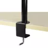 ARCTIC Z1 Basic - Tischhalterung Monitorarm, Klemme, 8 kg, 33 cm (13 Zoll), 81,3 cm (32 Zoll), 100 x 100 mm, Schwarz