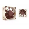 Noctua Lüfter NF-A6x25 PWM 60 mm, 12 V, 550–3000 RPM, 29,2 m³/h, 19,3 dB